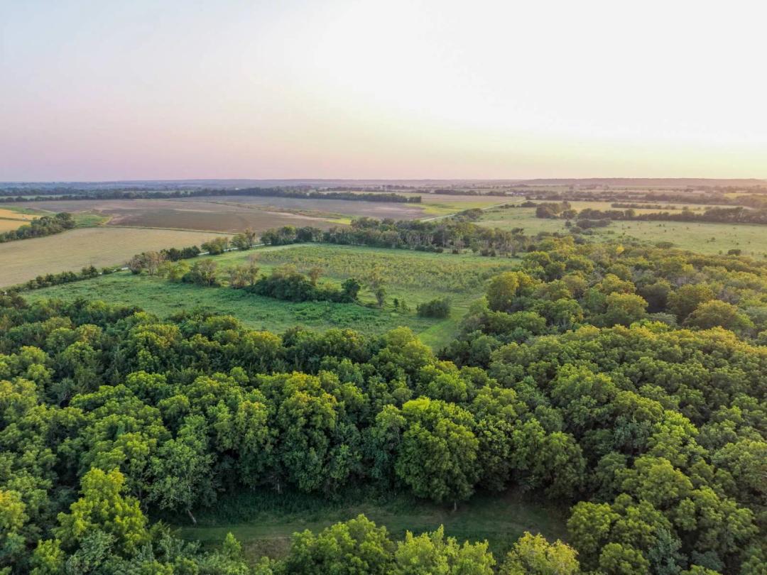 South Centerville Hunting Farm