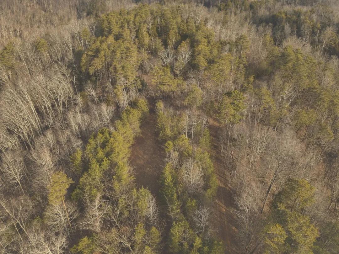 20 Acres in McMinn County, TN 