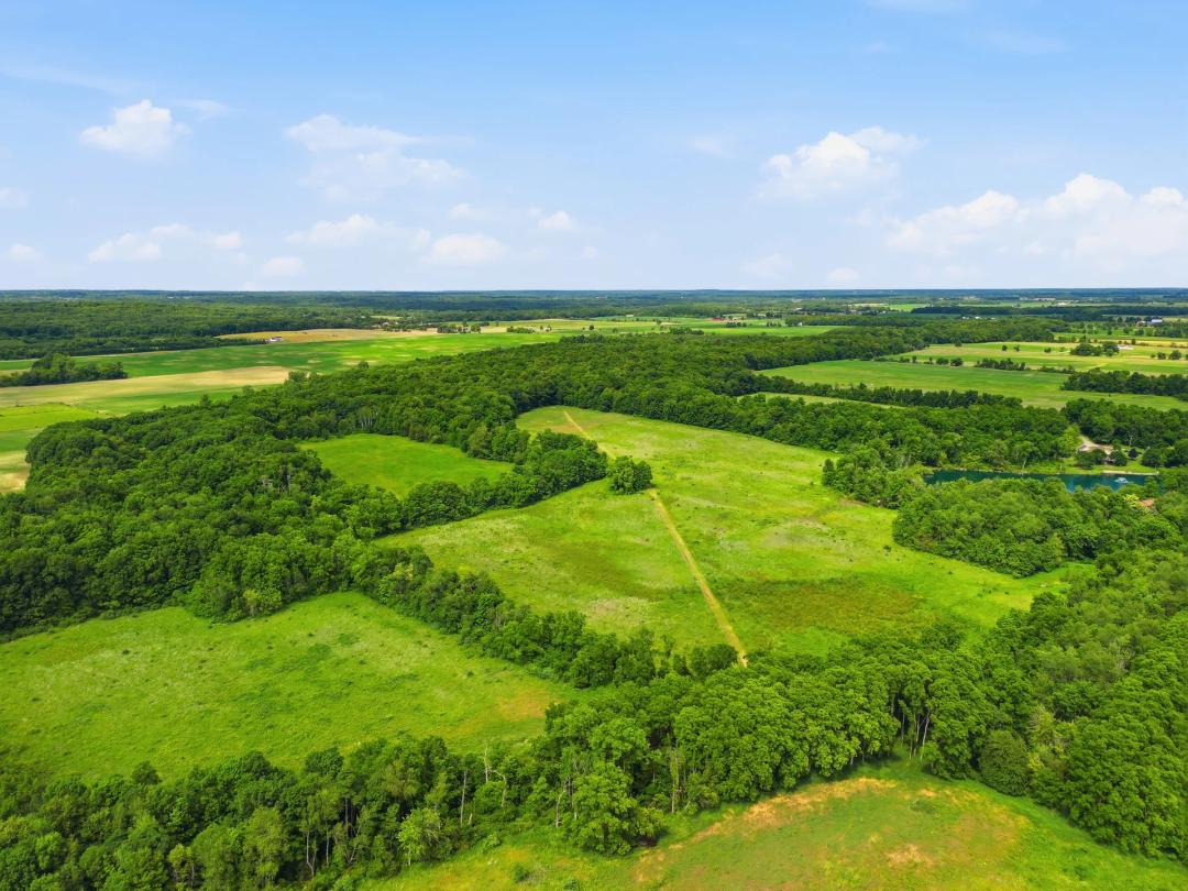 Hillsdale County – 95 Acres