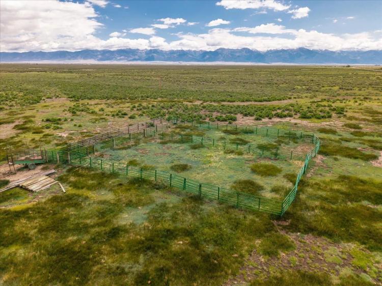 Irrigated Land on Acreage in Saguache County