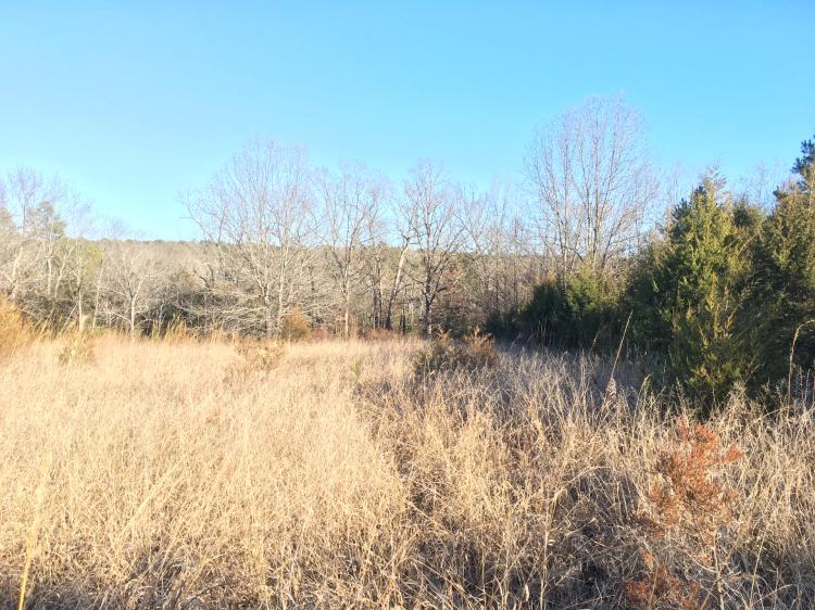 Texas County 7