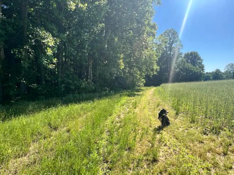 190.74 Acres at 0 Stage Road