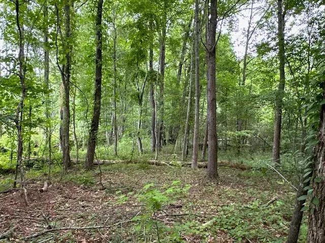 1.09 Acres Dallas Nebo Road