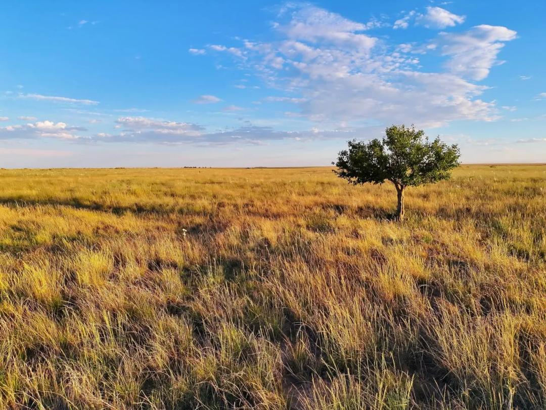 CRP Income Parcel with Recreational Opportunities 