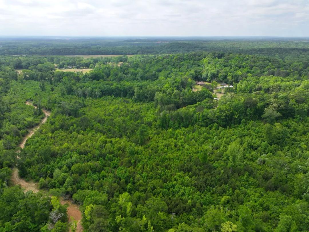 126 Acres Development Property in Autauga County, near the Prattville Country Club