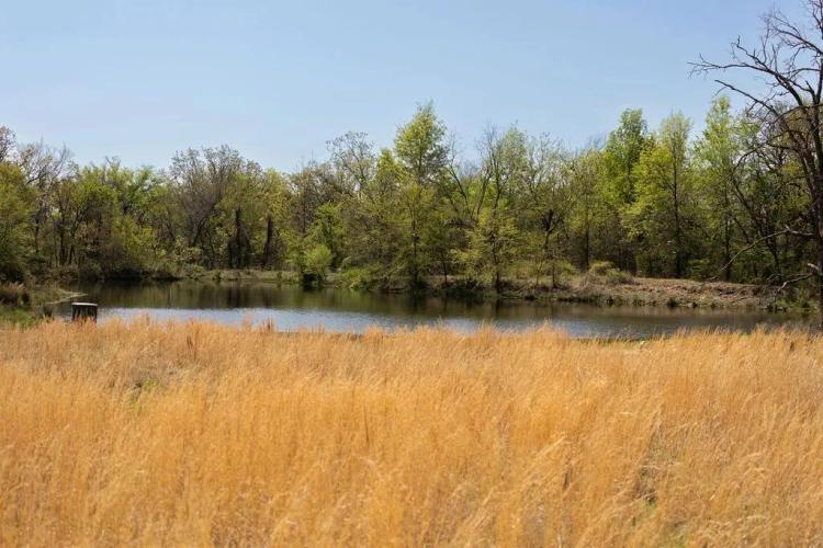 Ford 255 Acres