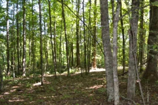 3 AC IN THE COUNTRY – PRIVATE – SECLUDED – CLOSE TO DALE HOLLOW LAKE