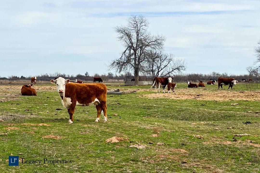 Pennington Farm