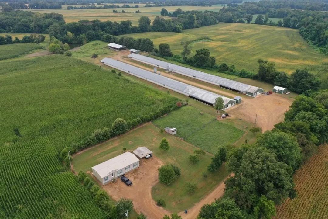 SALE PENDING - Nerdz Breeder Farm – Two House Farm in Troy, TN