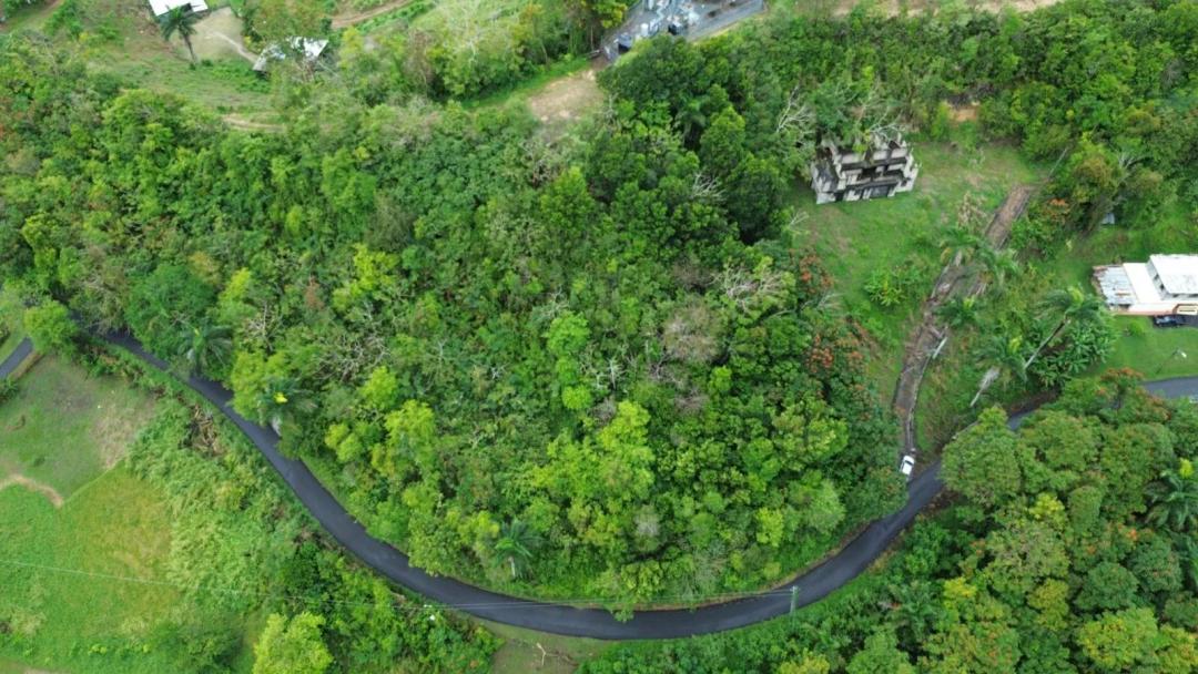 2,999m² for sale in Morovis