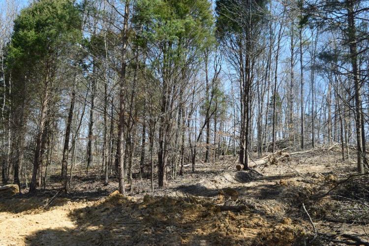 23.91 Acres at 00000 Sawmill Rd