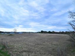 Untitled design (6)