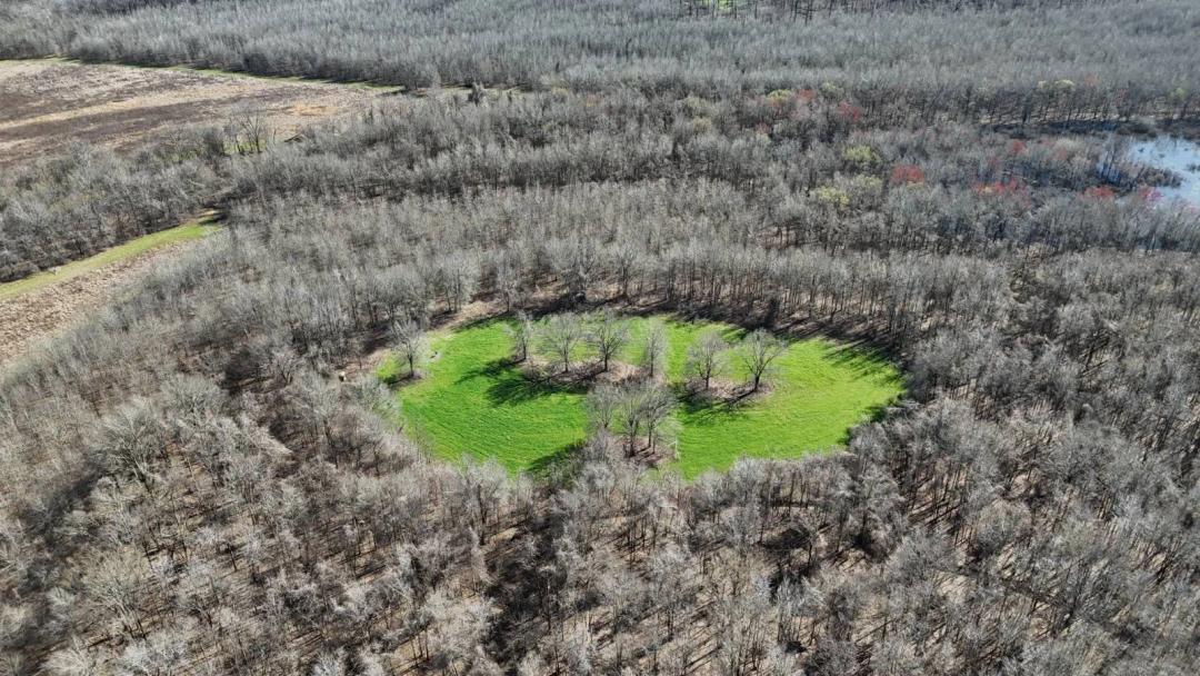 Agricultural &amp; Hunting land Leflore County