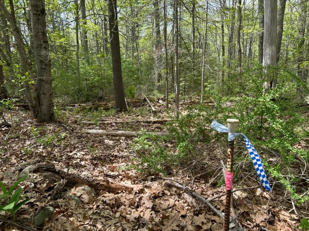 14.15 Acres of Land for Sale in Waldoboro, ME