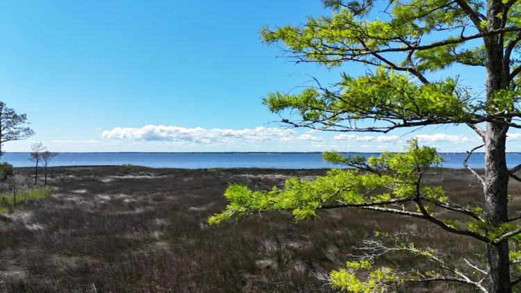 Waterfront Homesite for Sale - Beaufort, NC