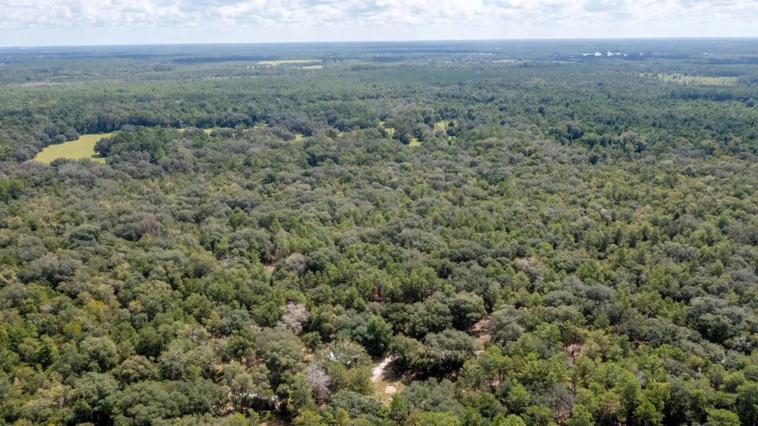Gorgeous 20 Acre Proeperty {A-741}