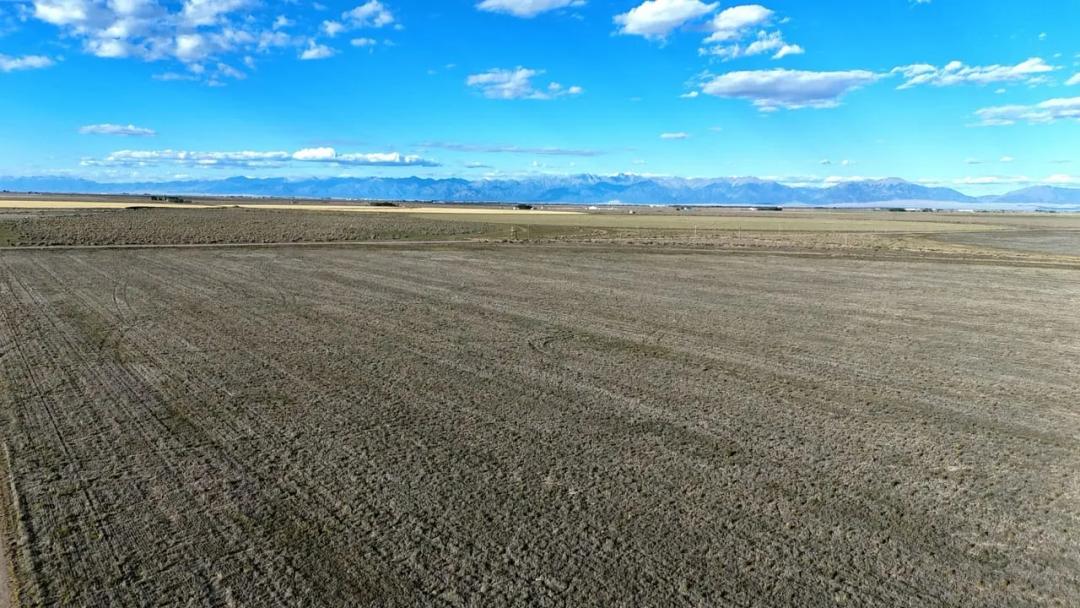 40+/- Acres with Mountain Views Near Alamosa, Colorado