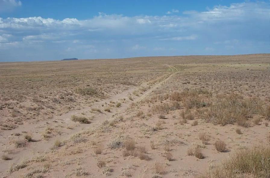 Extra large 2.5 acres Arizona Rancho parcel near Petrified Desert and Painted Desert