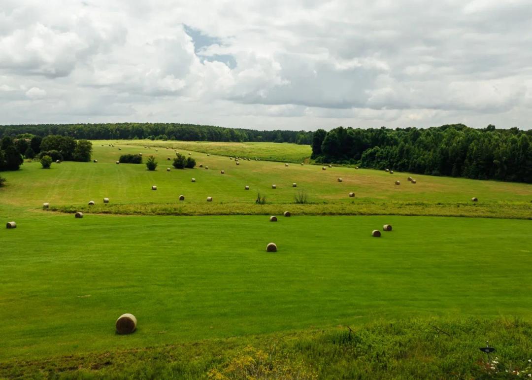 351.8 Acres in Winston County, MS 