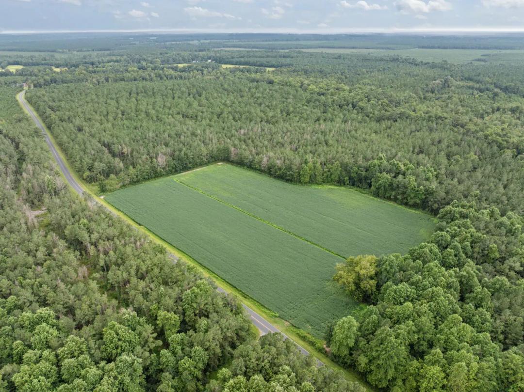 77-AC Farm & Timberland with Hunting Near Aurora, NC
