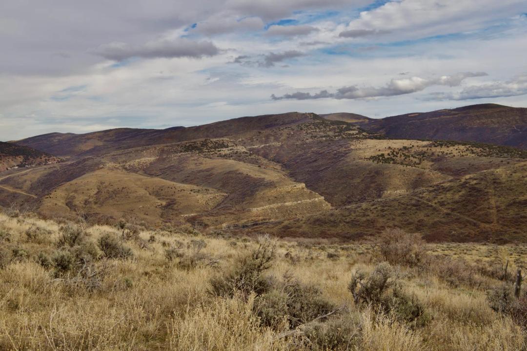 Hamilton Hunt Camp