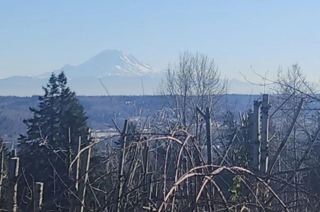 Seattle-Skyway View Lot