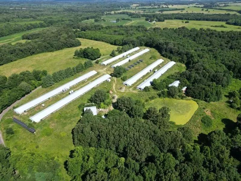 Enon Church Road Farm – Six House Broiler Farm - Crittenden Co, Kentucky