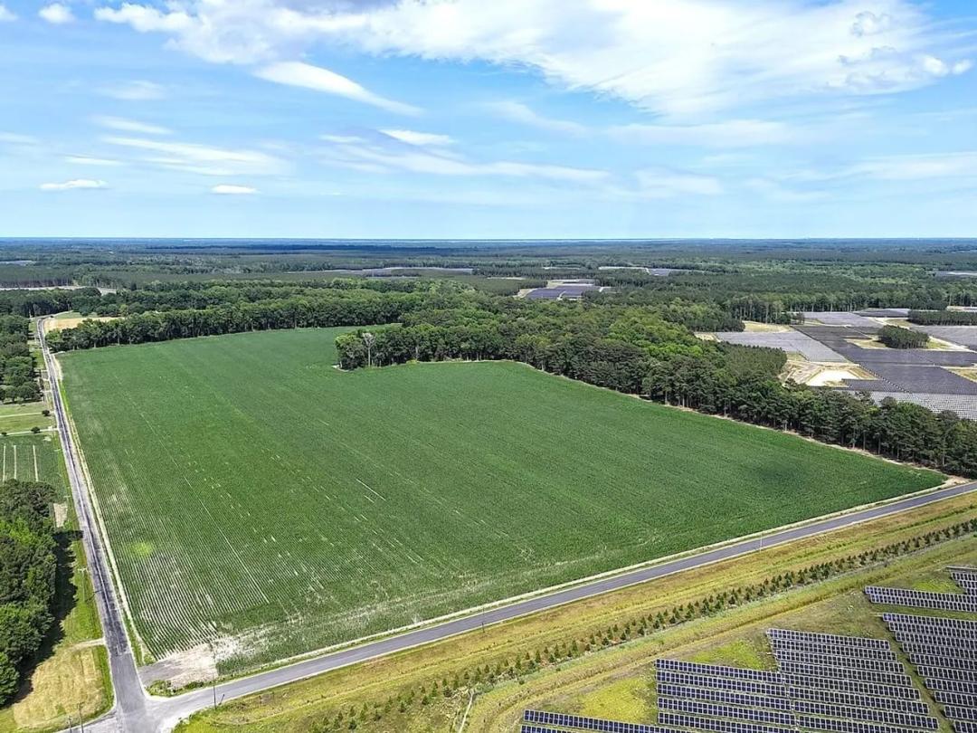 96.25 Acres of Farm, Timber and Hunting Land for Sale in Surry County VA!