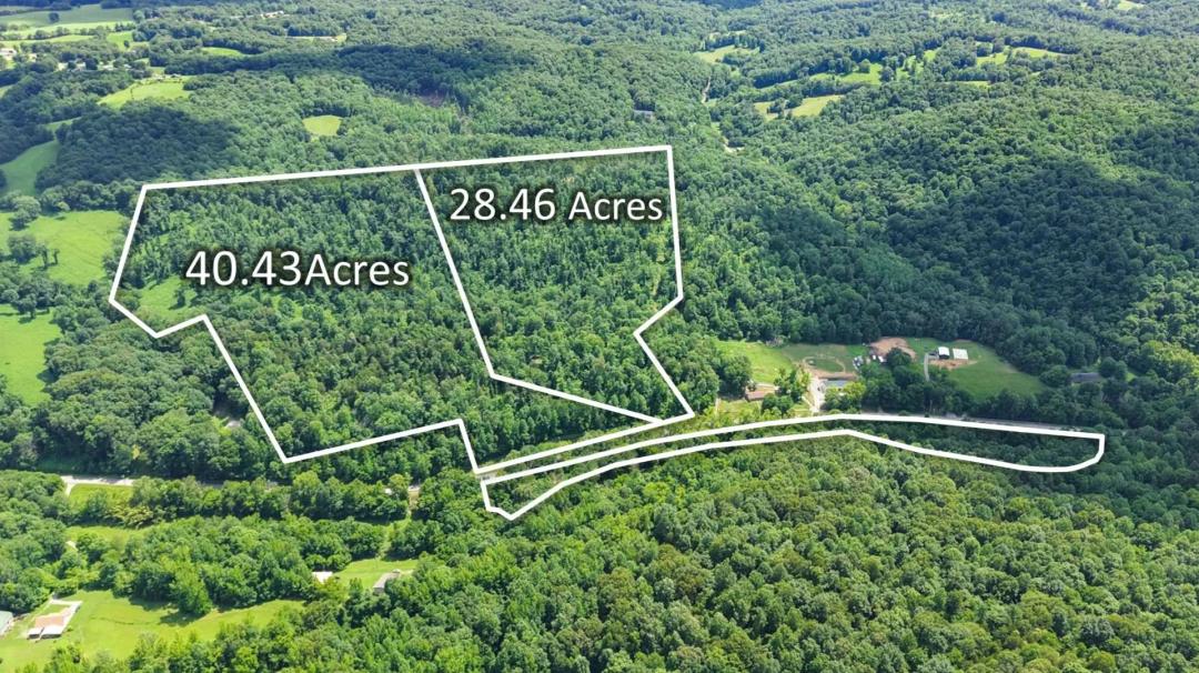 Auction Notice !!! 40 Acres / New Survey / Owner Financing