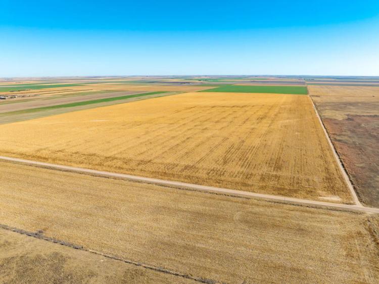 320.00 Acres at 0 County Rd 29