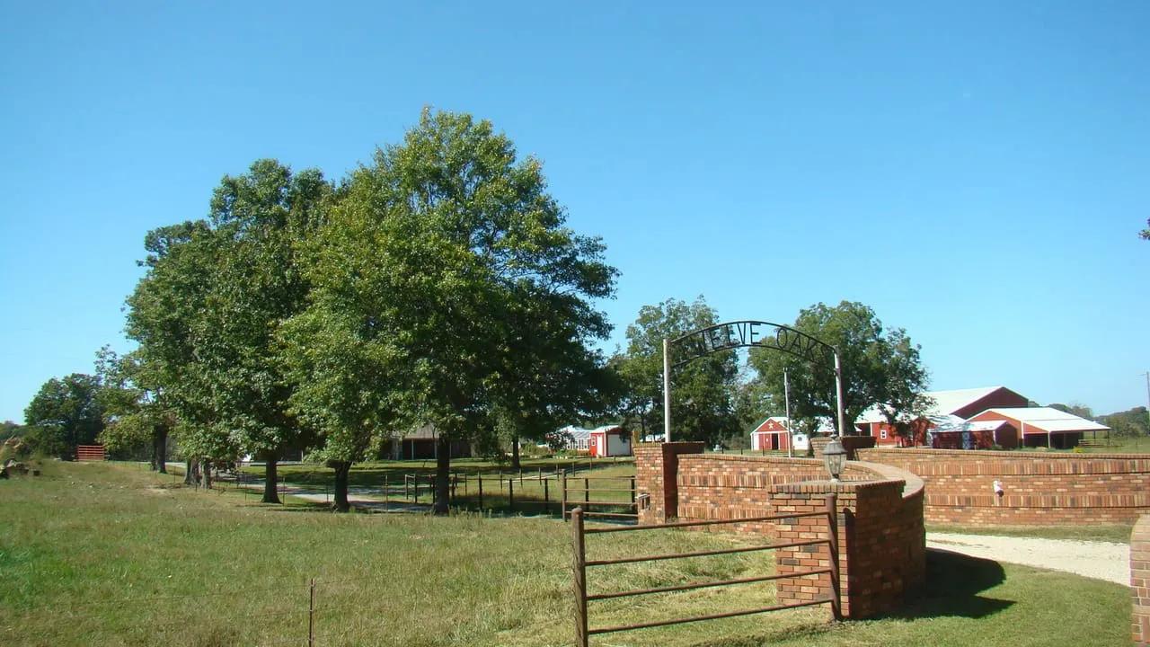 83962299-1