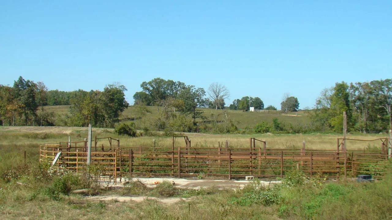 83962299-61