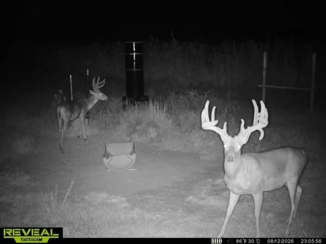 Kiowa County, KS - 155 acres