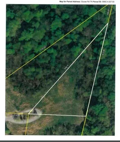 84043269-4