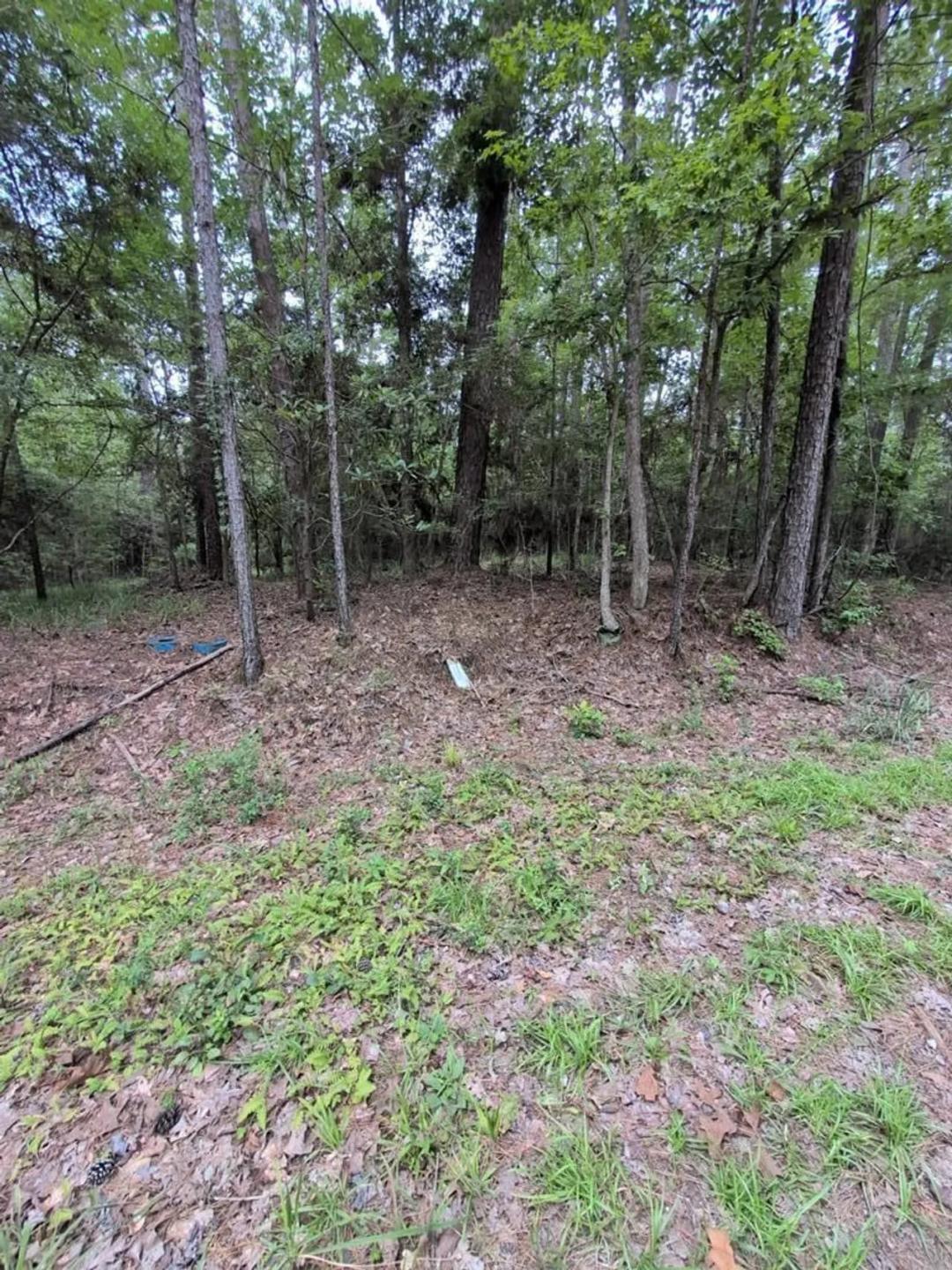 0 Amblewood Drive Brookeland, TX 75931