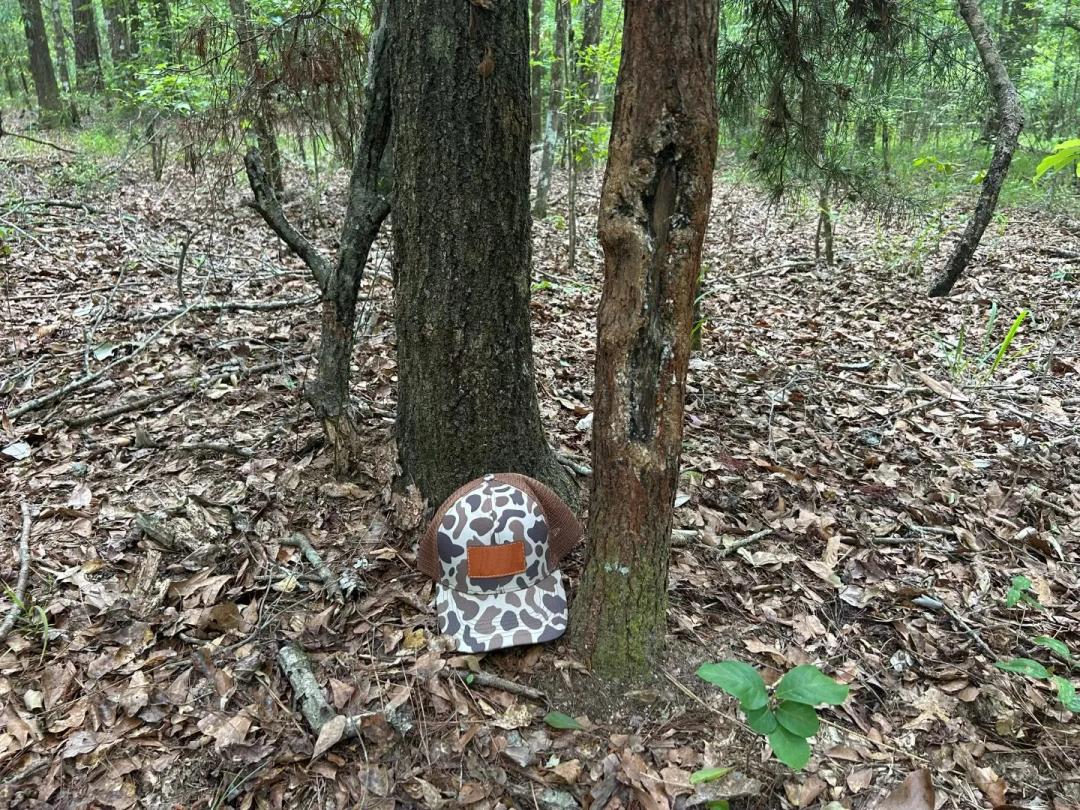 182.62 Acres in Coffee County, AL 