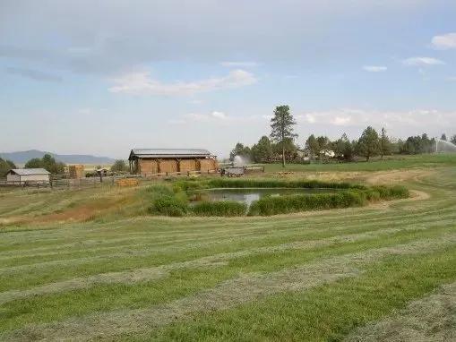 Stoney Ridge Ranch