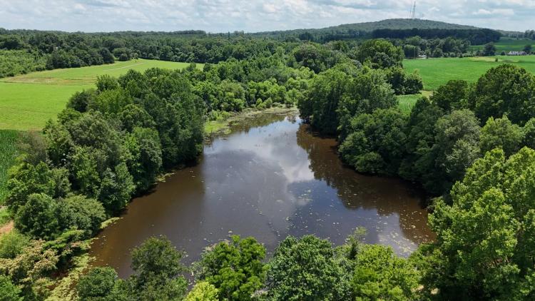 50.33 Acres at 0 Mountain rd