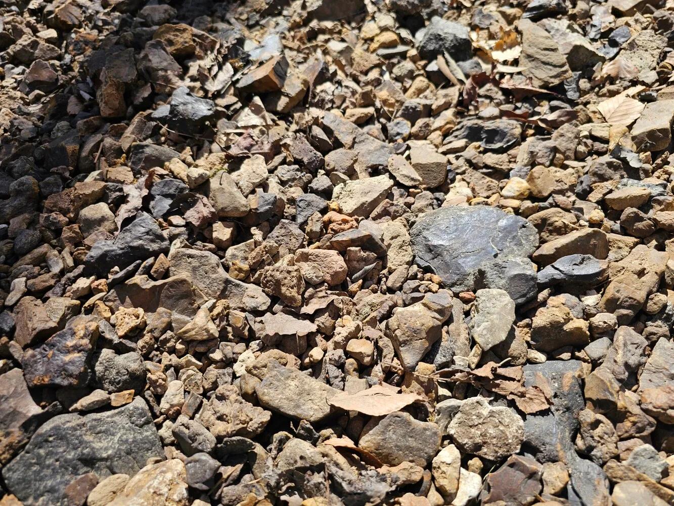 84166611-31