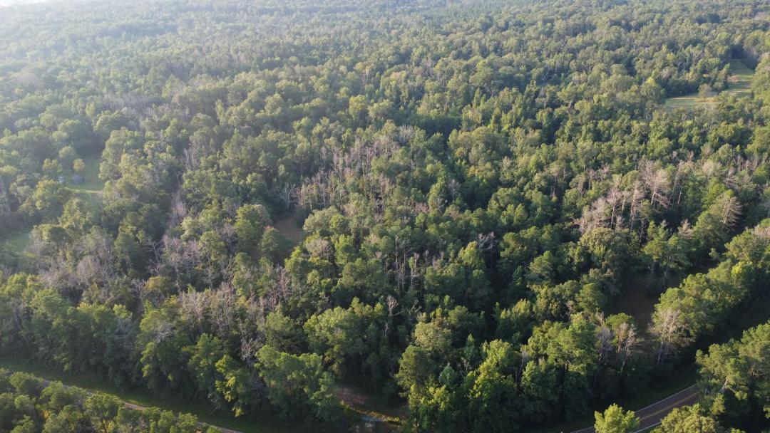 19.02 Acres in Copiah County, MS 