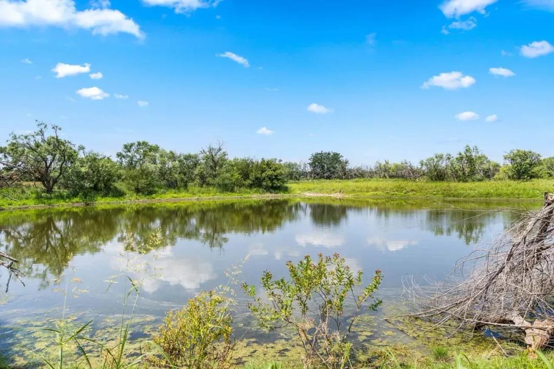HAM-BALL RANCH - 400 ACRES - CALLAHAN COUNTY