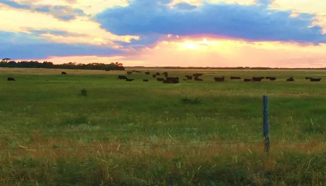 Listing #19145 - 400.00 acres in Holt County, NE