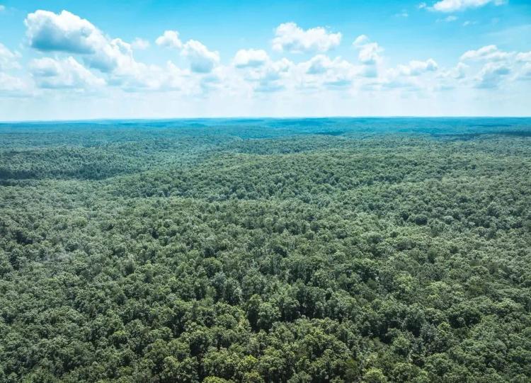 Land &amp; Timber 69