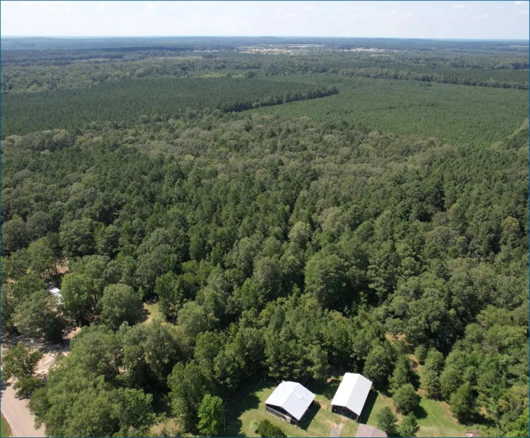 5 Acre Homesite in Rankin County in Pelahatchie, MS