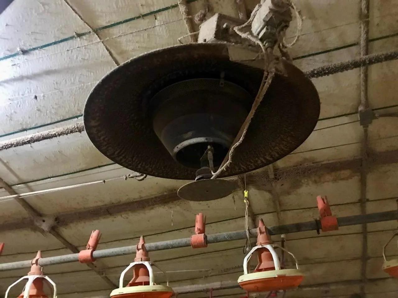 84270826-11