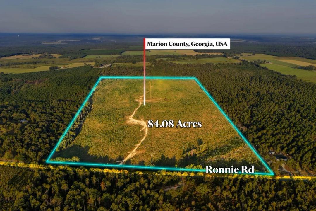 Longleaf Farm Investment & Hunting