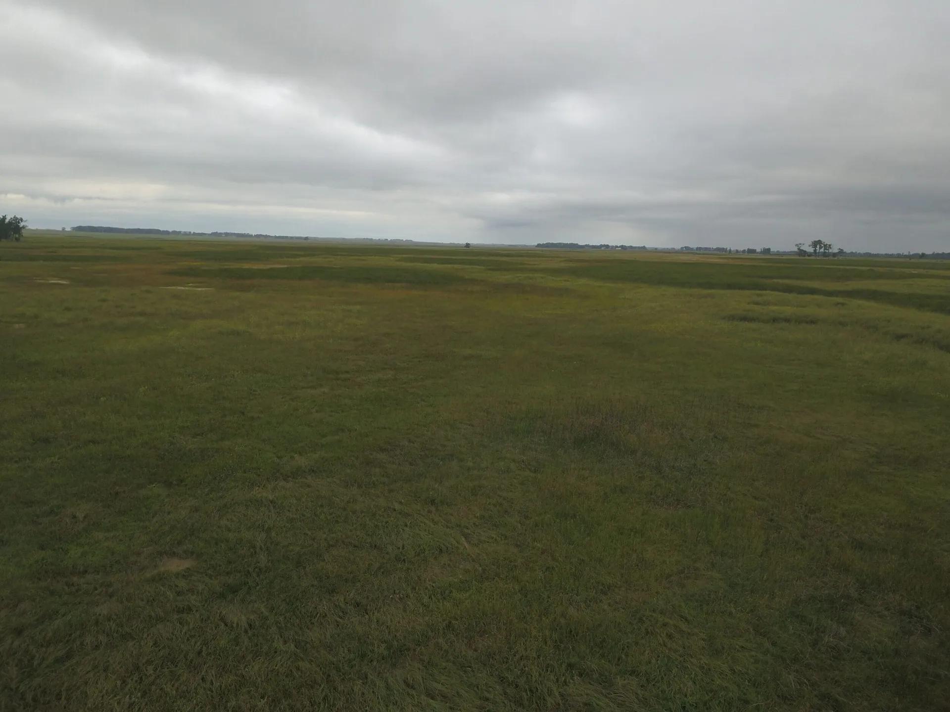 84306409-77
