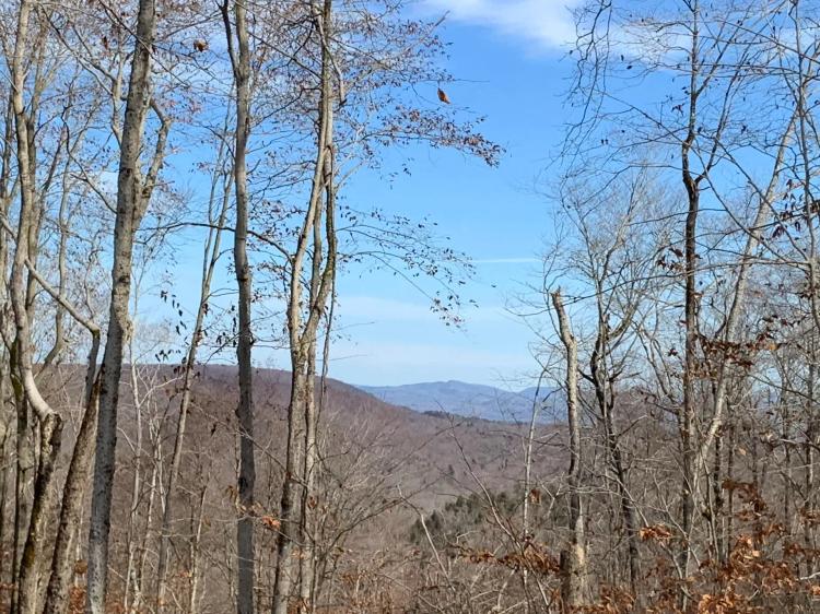 150 acres Remote Hunting Land Salisbury NY