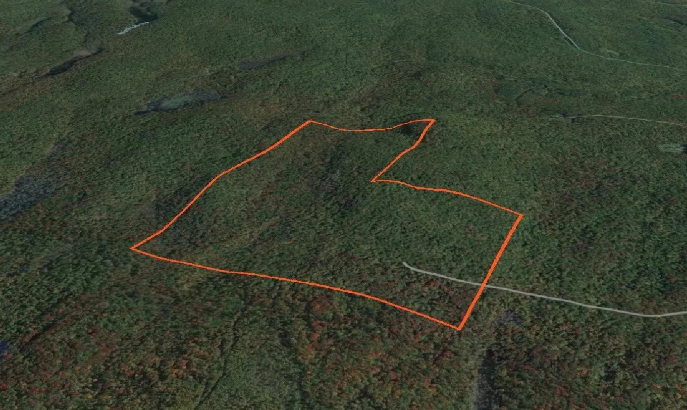 84307662-3