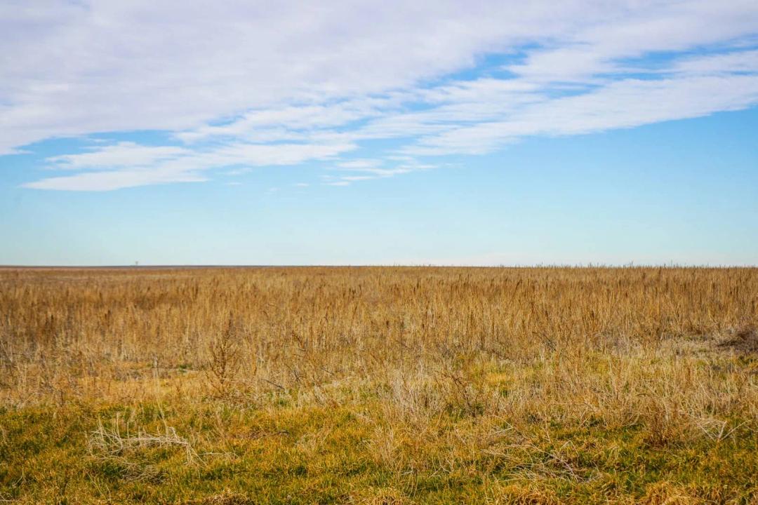 480 ± AC CROPLAND - GREELEY COUNTY, KS